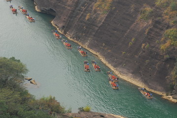 家里养两只猫总是打架要不要分开饲养