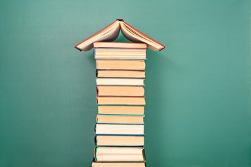 家里养两只猫总是打架要不要分开饲养