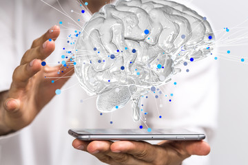 六年级上册数学必考题归纳