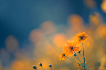 美食冷门小知识