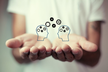 家里养两只猫总是打架要不要分开饲养