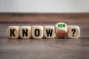 中国古代有几个朝代定都在洛阳