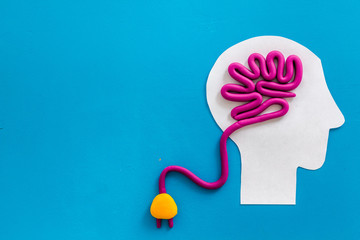 蓝鲸主要分布在哪些地方？