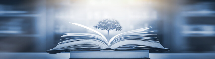 劳动教育活动记录表怎么写？