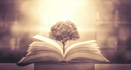 六年级上册数学必考题归纳