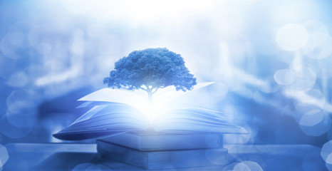 关于足球的数学题100道