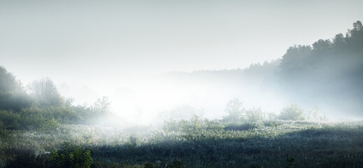美食冷门小知识