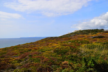 中国历史人物故事有哪些
