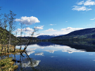 旅游的类型有哪些？