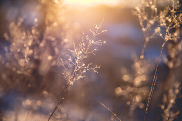 中国历史人物故事有哪些