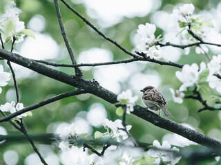 中国历史人物故事有哪些