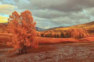 中国古代有几个朝代定都在洛阳