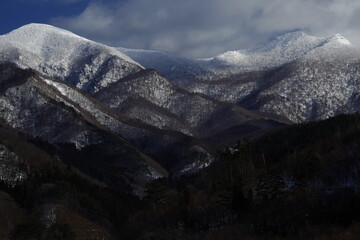 美食冷门小知识