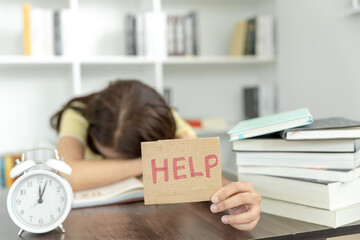 旅游的类型有哪些？