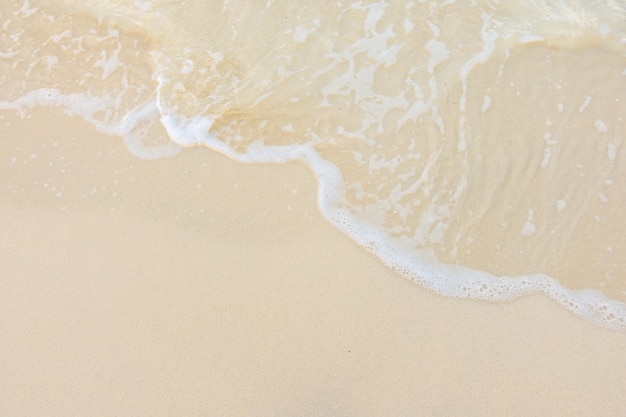 四年级上数学乘法手抄报 四年级上册手抄报