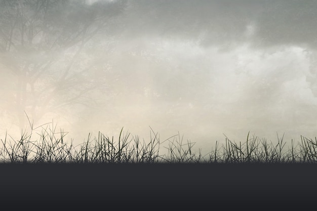 美食冷门小知识