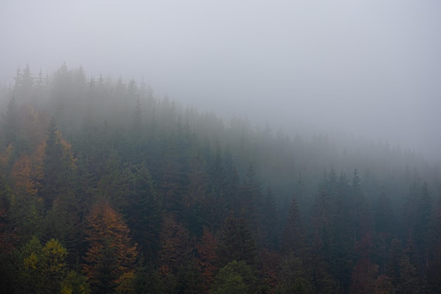 六年级上册数学必考题归纳