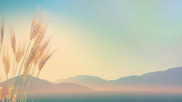 旅游的类型有哪些？