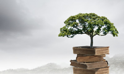 介绍万里长城的历史故事