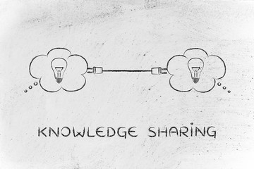 蓝鲸主要分布在哪些地方？