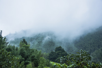 小学二年级数学脱式、竖式、列式计算各100道